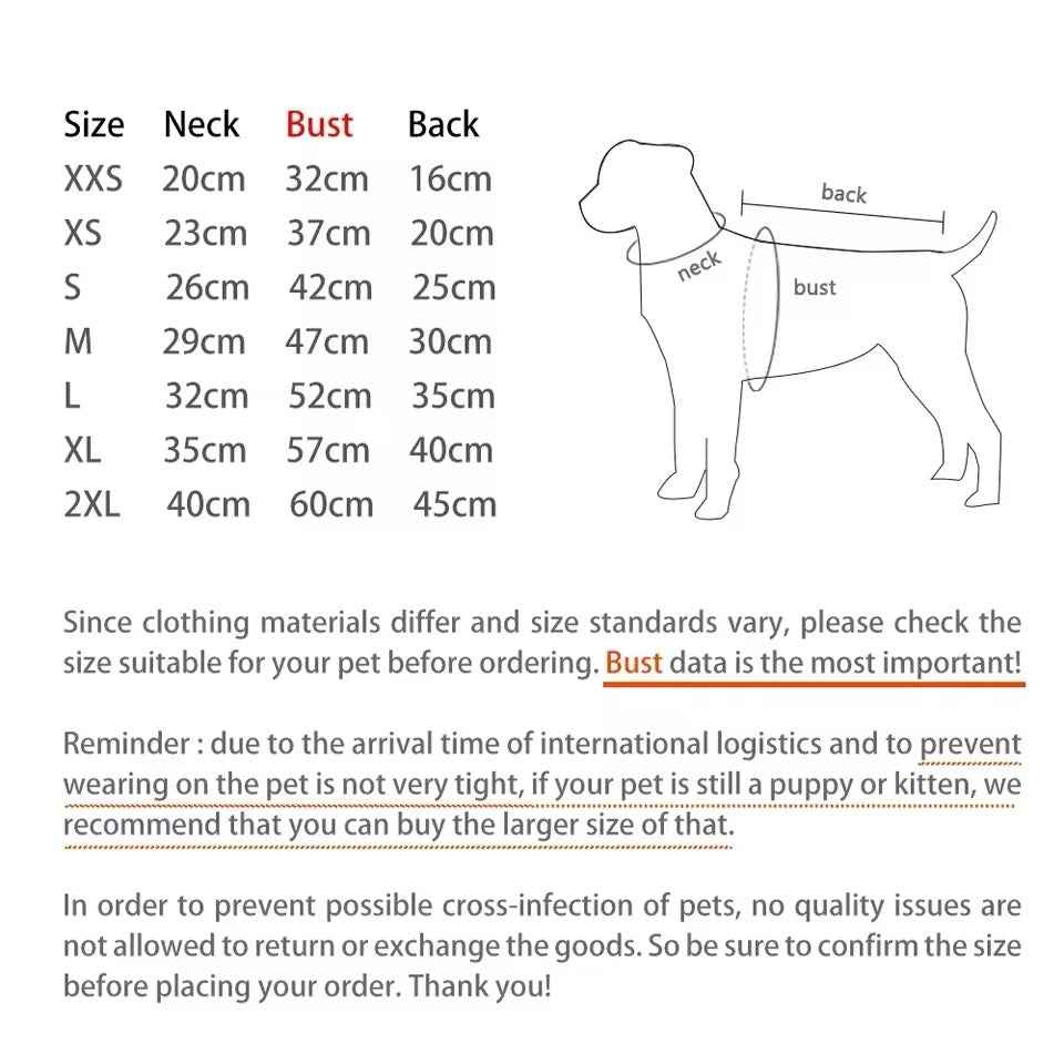 Bear Dog Hoodie | Dog Hoodie with Character Detail