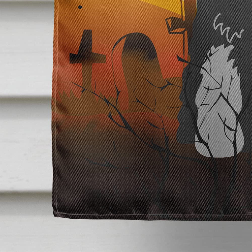 Caroline's Treasures BB4300CHF Halloween Standard Schnauzer Black Grey Flag Canvas House Size, Large, Multicolor