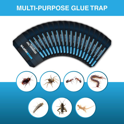 MOUSINATOR Cockroach Traps, 18-Pack, Larger and Multi-Entry Design with Extra-Strong Adhesive, Sticky Glue Cockroach Trap for Indoor Use, Family-Safe, Easy and Ready-to-Use 🍁 All In One Marketplace Canada