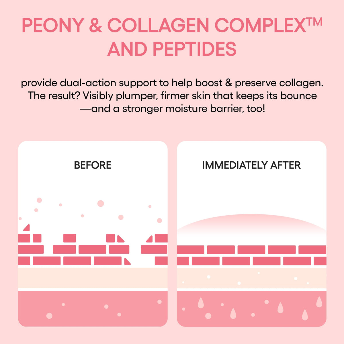 LANEIGE Bouncy and Firm Sleeping Mask: Revitalize, Smooth, Peony & Collagen Complex, Barrier-Boosting Hydration 🍁 All In One Marketplace Canada