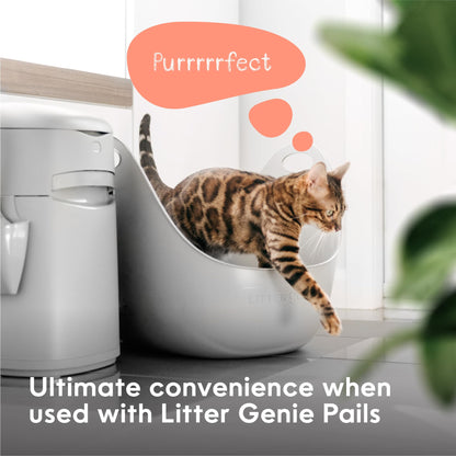 Litter Genie Cat Litter Box in Flexible Plastic with Handles, High Walls 🍁 All In One Marketplace Canada