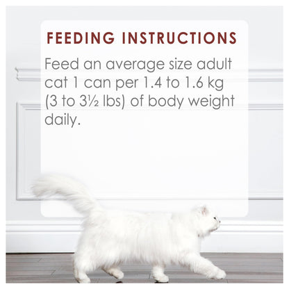 Fancy Feast Chunks Wet Cat Food, Beef Flavour in Gravy - 85 g Can (24 Pack) 🍁 All In One Marketplace Canada