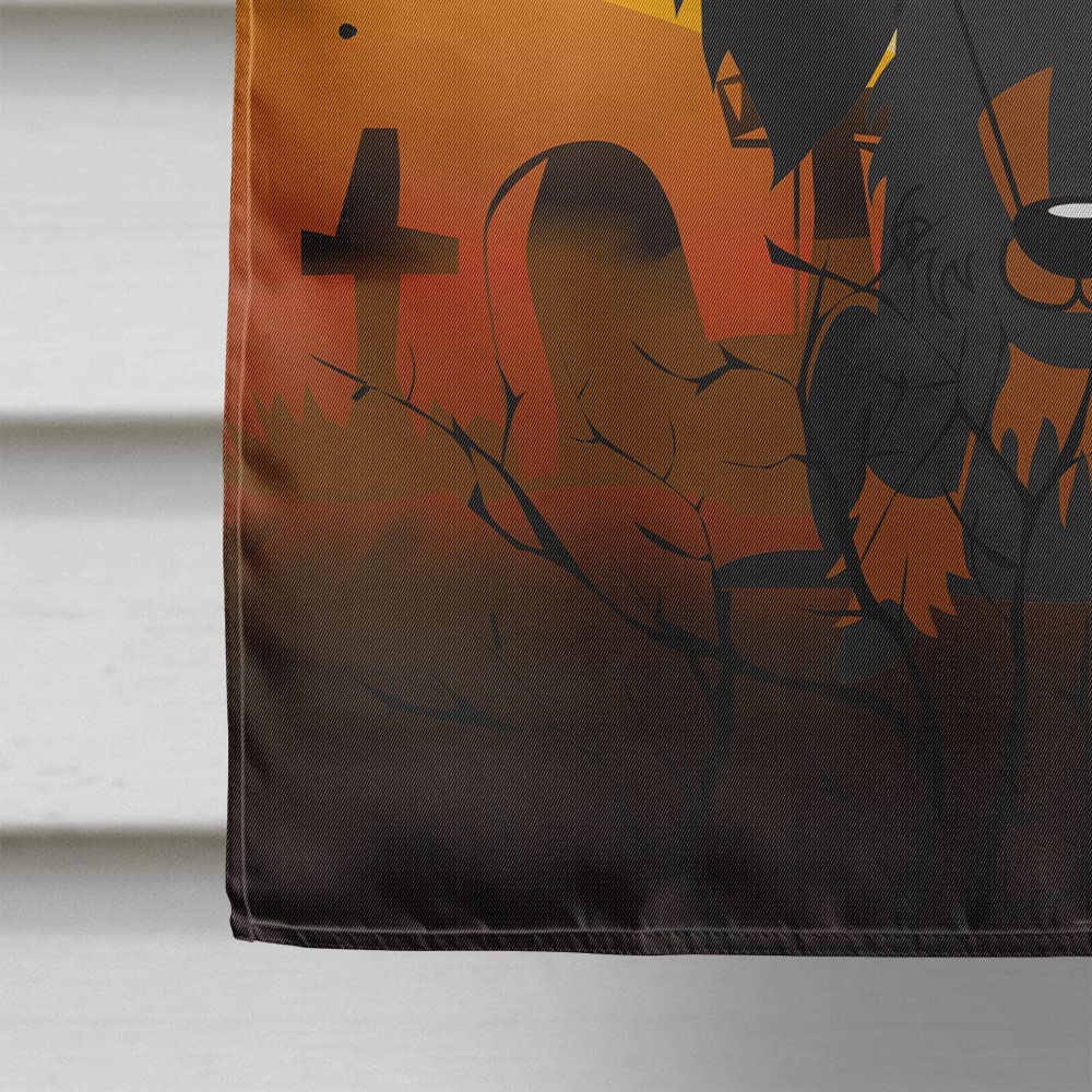 Caroline's Treasures BB4393CHF Halloween Wire Haired Dachshund Black Tan Flag Canvas House Size, Large, Multicolor