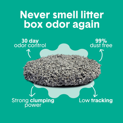 Boxie Premium Gently Scented Cat Litter 30 Day Odor Control Clumping Clay Kitty Litter, 99.9% Dust-Free, No Fillers, 28 lb 🍁 All In One Marketplace Canada