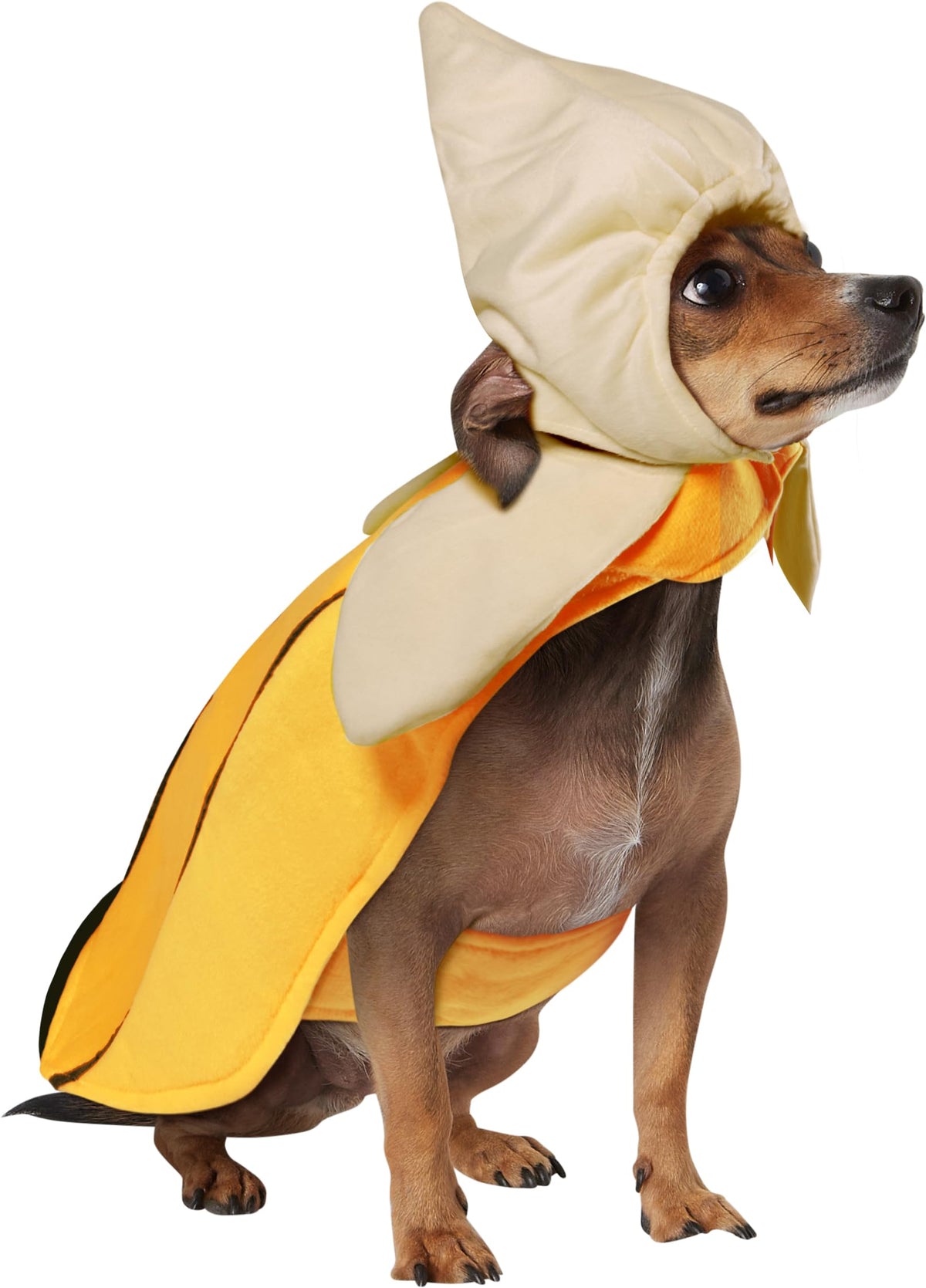 Rubies Costume Co Halloween Classics Collection Pet Costume, Large, Banana