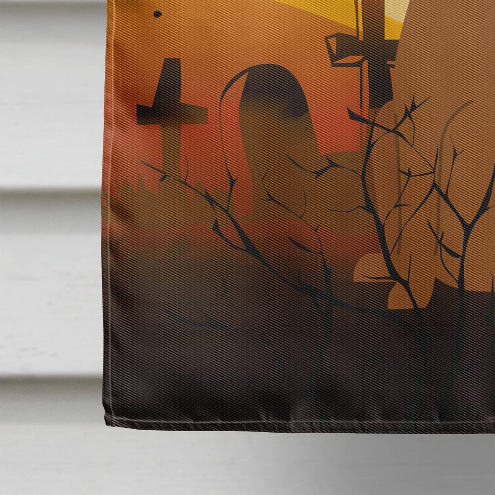 Caroline's Treasures BB4339CHF Halloween Dogue de Bourdeaux Flag Canvas House Size, Large, Multicolor