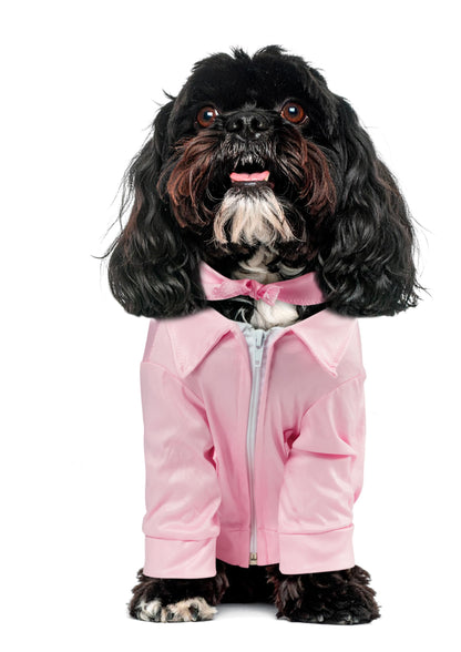 Rubies Grease 40th Anniversary Pet Pink Ladies Jacket for Themed Parties and Halloween, X-Small