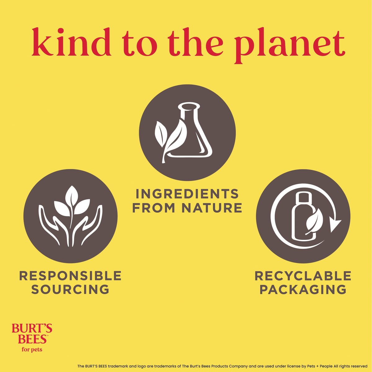 Burt's Bees for Puppies Natural Tearless 2 in 1 Shampoo and Conditioner | Made with Buttermilk and Linseed Oil | Best Tearless Puppy Shampoo for Gentle Skin and Coat | Made in USA, 16 Oz 🍁 All In One Marketplace Canada