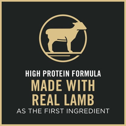 Purina Pro Plan Dry Cat Food Focus, Adult Sensitive Skin/Stomach Lamb and Rice Formula, 16-Pound Bag, Pack of 1 🍁 All In One Marketplace Canada