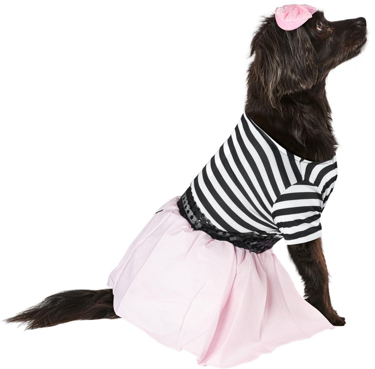 Rubies Costume Co Halloween Classics Collection Pet Costume, Large, 50s Girl Dress