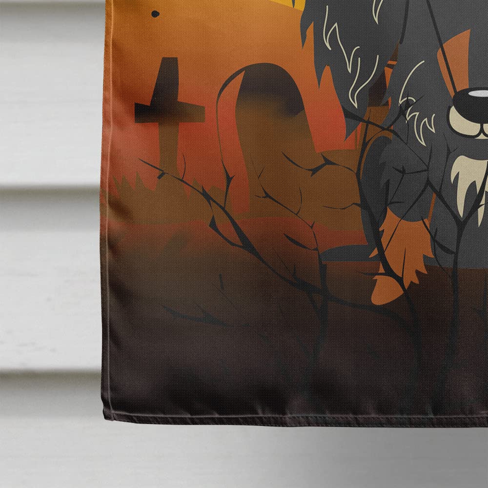Caroline's Treasures BB4394CHF Halloween Wire Haired Dachshund Dapple Canvas House Flag, Large, Multicolor