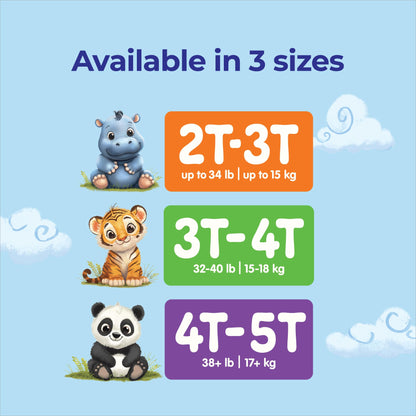 Royale Premium Training Pants, Size Large, 3T-4T (32 to 40 lbs), 99 Count, Disposable Training Pants (Packaging may vary) 🍁 All In One Marketplace Canada