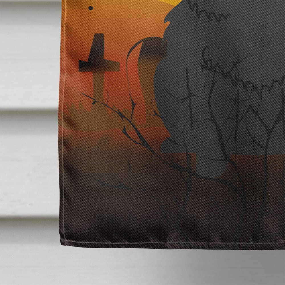 Caroline's Treasures BB4409CHF Halloween Chow Chow Black Canvas House Size Flag, Large, Multicolor