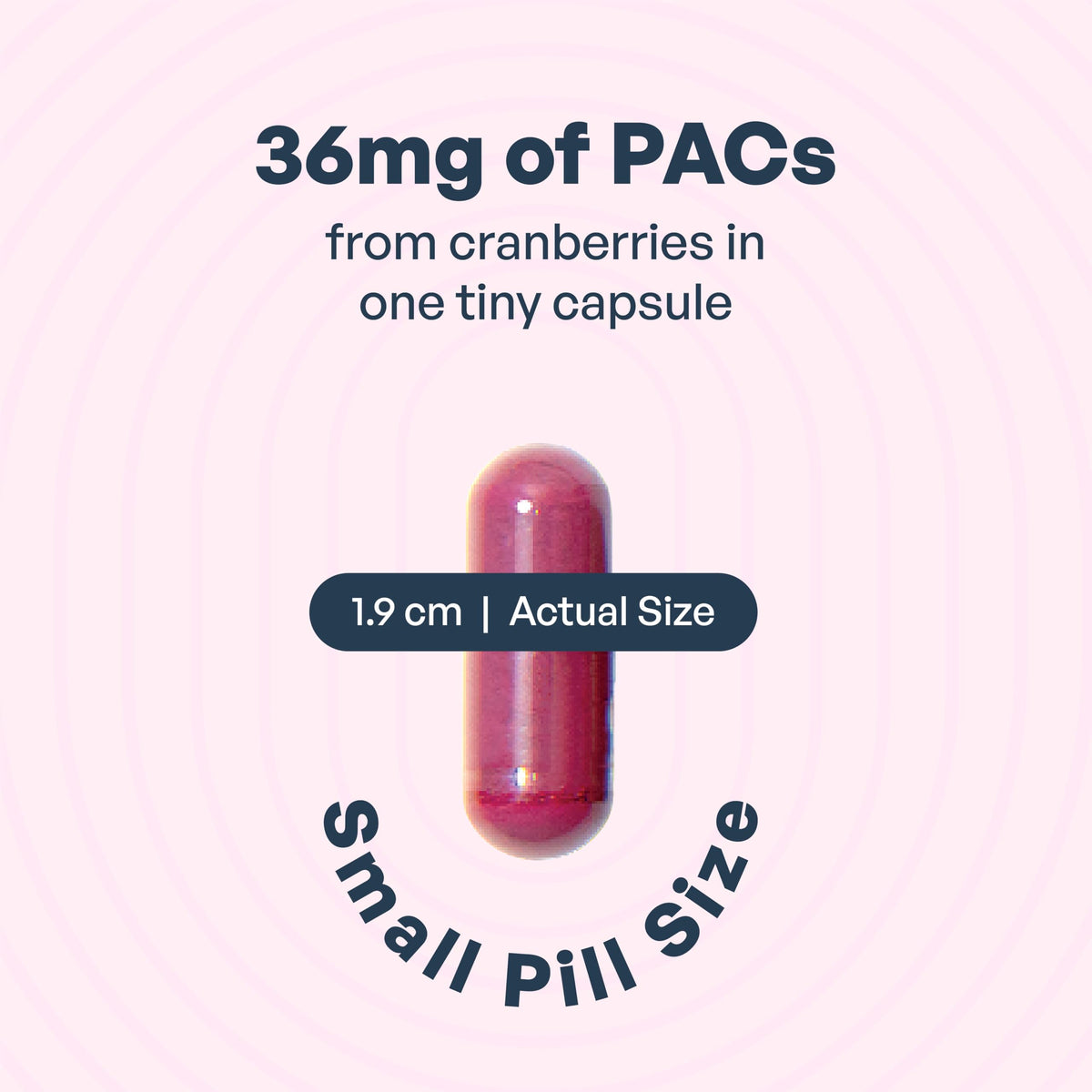 Utiva UTI Control Cranberry PACs - #1 Doctor- Recommended for UTI prevention - 36mg PACs for Urinary Tract Infection Avoidance - Supplement for Urinary Tract Health for Women and Men – Cranberry Extract Pills for urinary & bladder health, 30 Vegi Capsules