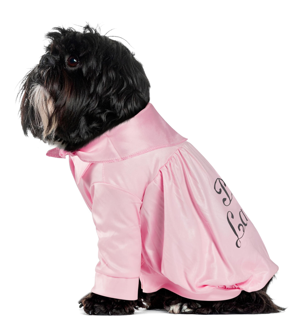 Rubies Grease 40th Anniversary Pet Pink Ladies Jacket for Themed Parties and Halloween, X-Small
