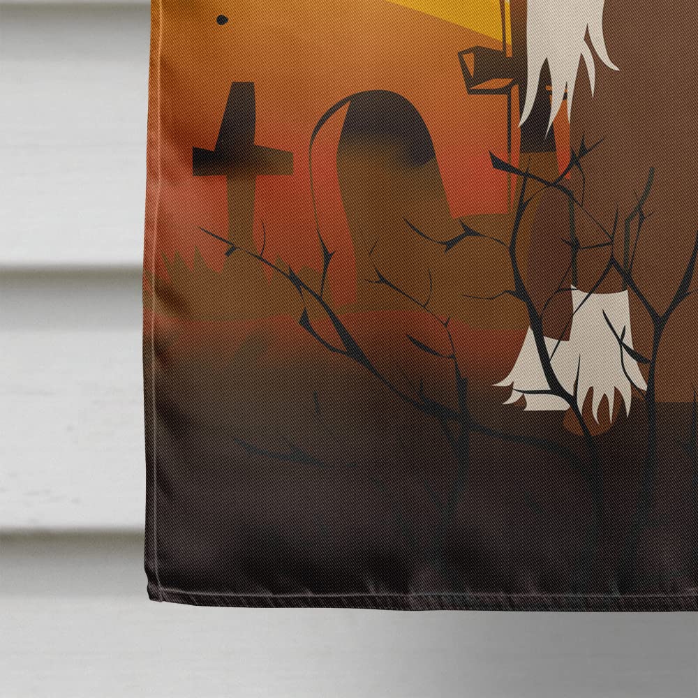 Caroline's Treasures BB4379CHF Halloween Chinese Crested Cream Flag Canvas House Size, Large, Multicolor