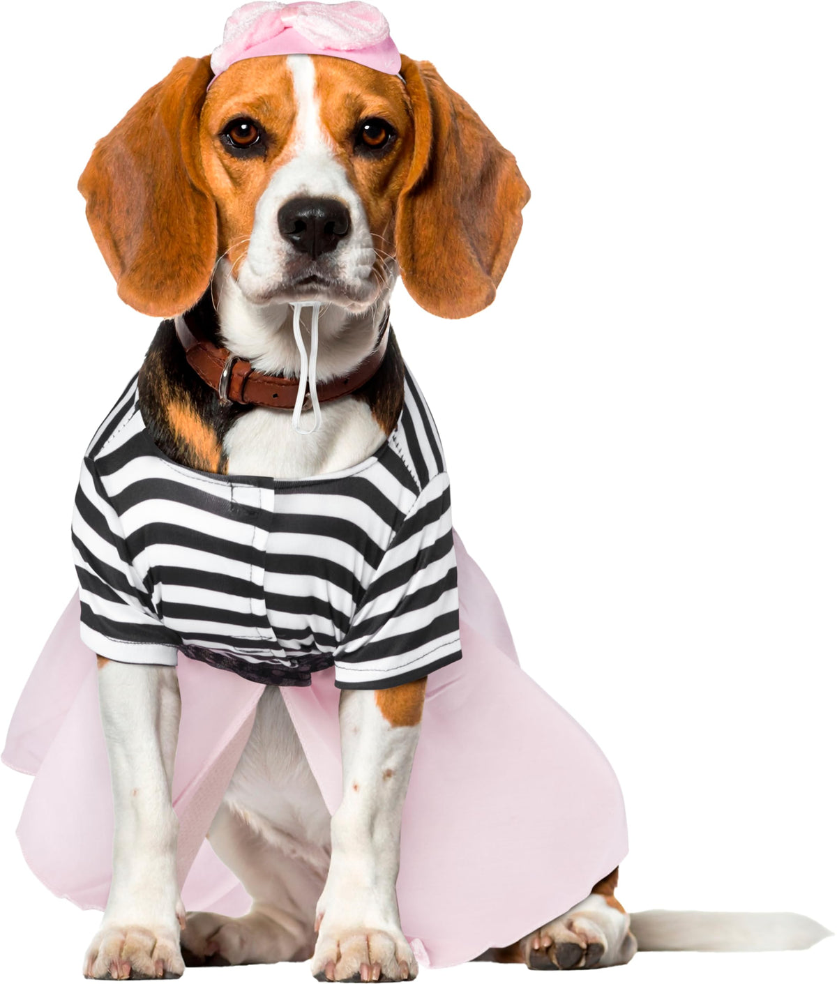 Rubies Costume Co Halloween Classics Collection Pet Costume, Large, 50s Girl Dress