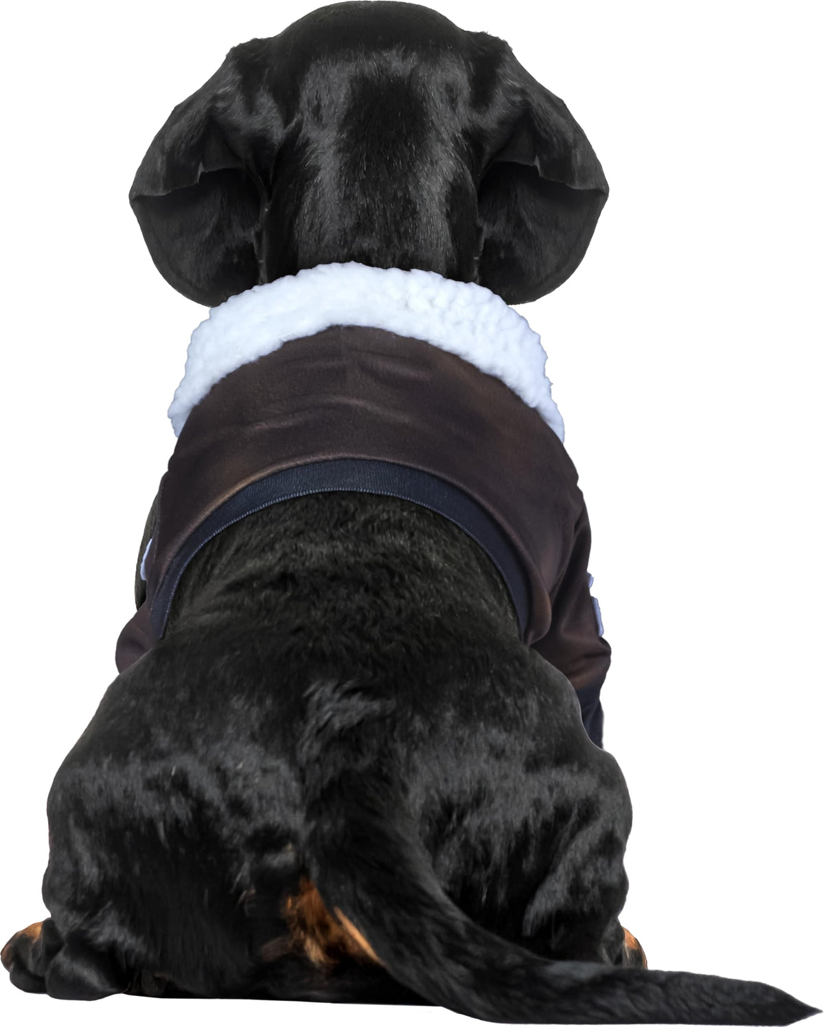 Rubies Top Gun Classic Movie Pet Costume, X-Large for Themed Parties and Halloween