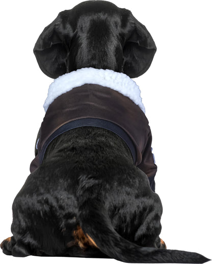 Rubies Top Gun Classic Movie Pet Costume, X-Large for Themed Parties and Halloween
