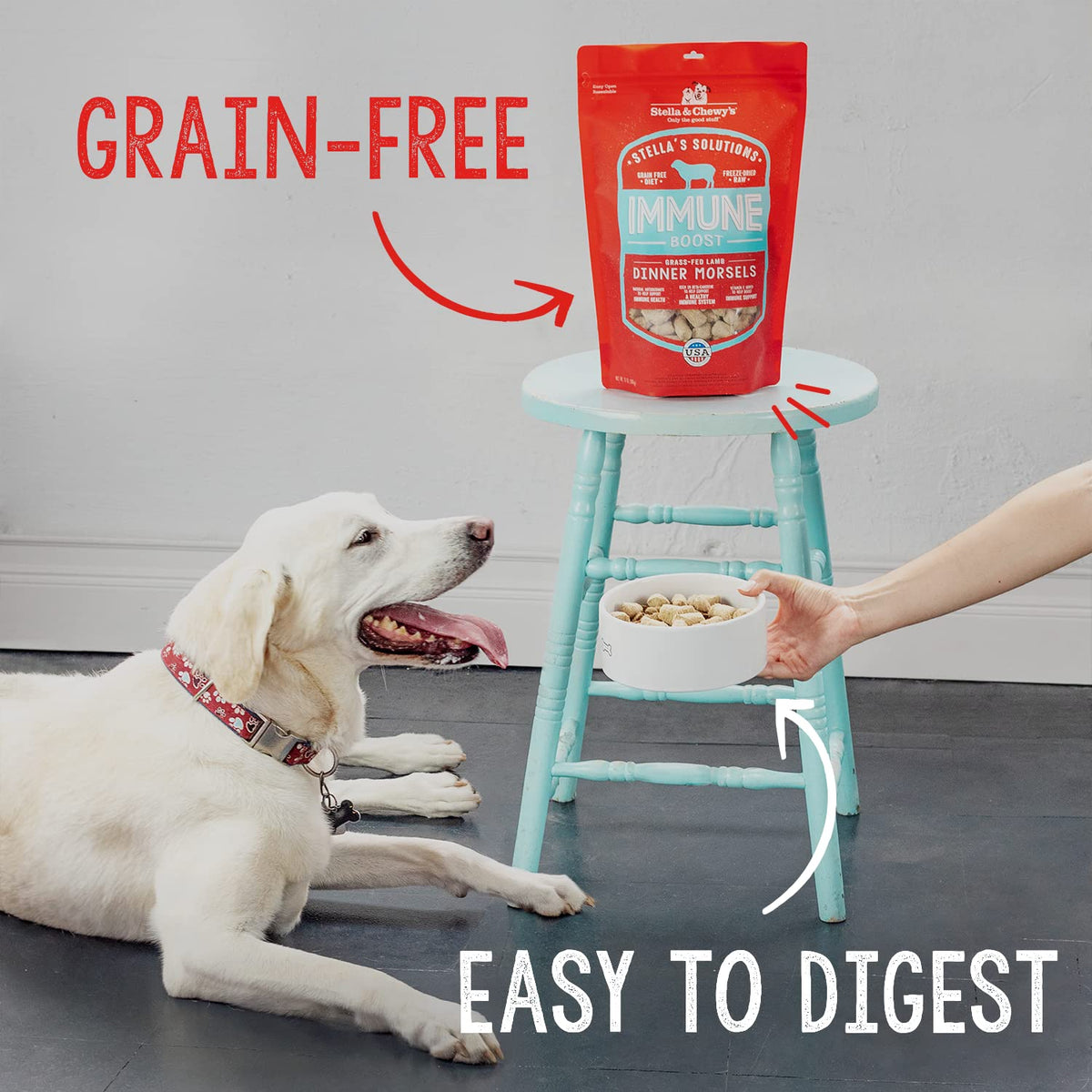 Stella & Chewy's Stella's Solutions Digestive Support Grass-Fed Beef Dinner Morsels Freeze-Dried Raw Dog Food, 368g 🍁 All In One Marketplace Canada