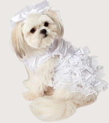 Rubies Costume Co Halloween Classics Collection Pet Costume, Small, Bride