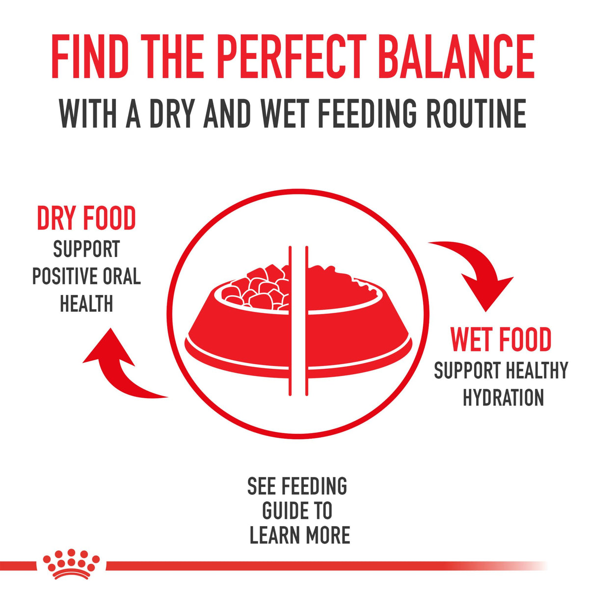 Royal Canin Indoor Long Hair Adult Dry Cat Food, 6 lb bag 🍁 All In One Marketplace Canada