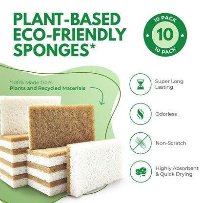 AIRNEX 10 Pack Biodegradable Natural Kitchen Sponges - Eco Friendly Cellulose and Coconut Dish Scrubbers - Odourless, Non Scratch, Dual Sided Multipurpose Sponges 🍁 All In One Marketplace Canada