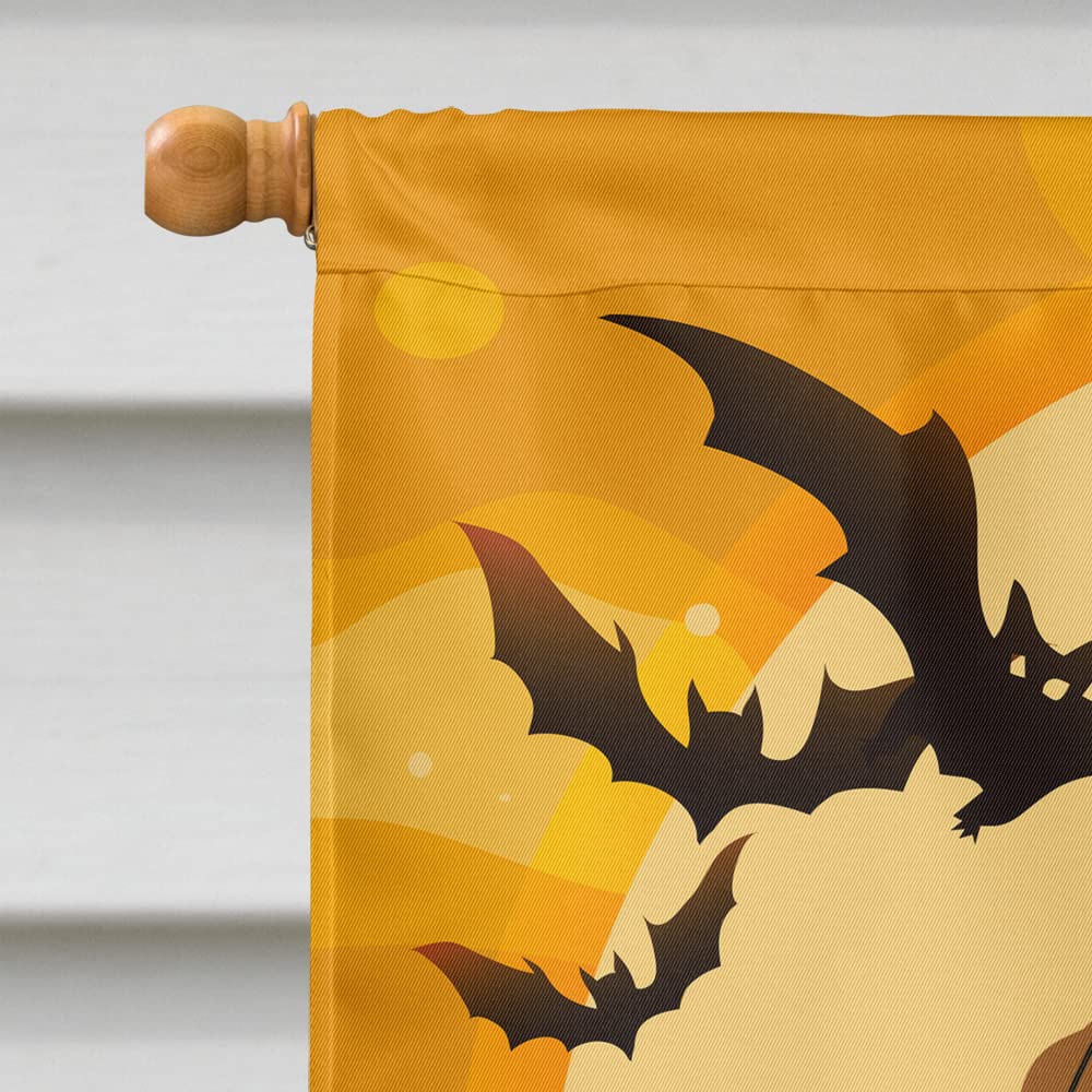 Caroline's Treasures BB4289CHF Halloween Borzoi Canvas House Size Flag, Large, Multicolor