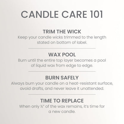 Yankee Candle 3 Wick Candle Jar, Scented Candle with up to 40 Hours of Burn Time, Premium Plant Wax Blend for Consistent Long Lasting Scent from First to Last Burn, Coconut Beach 🍁 All In One Marketplace Canada