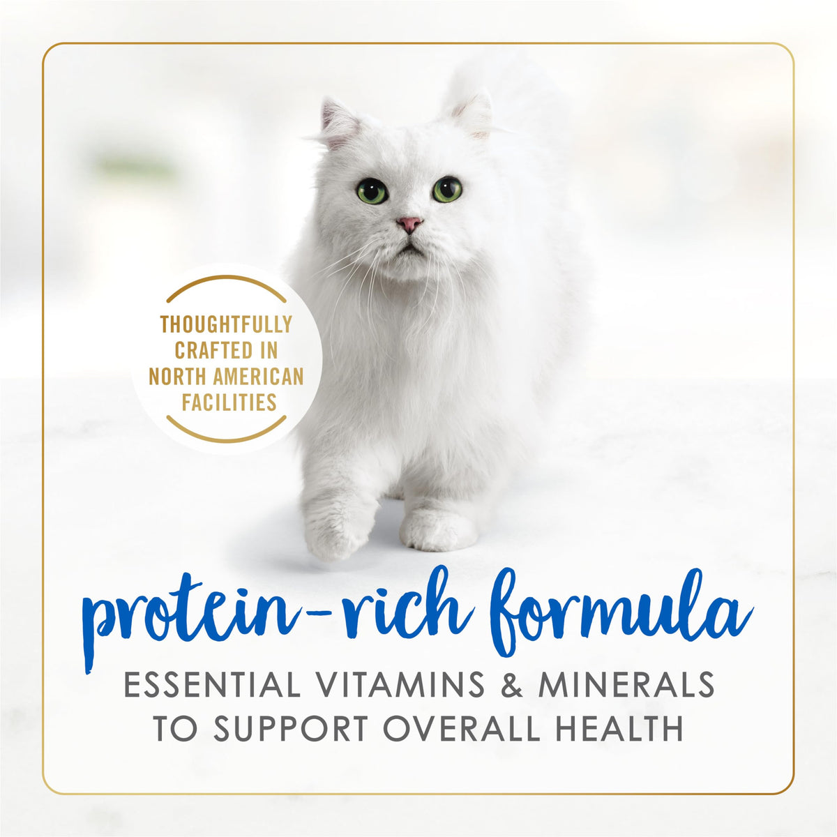 Fancy Feast Pâté Wet Cat Food, Ocean Whitefish & Tuna Feast 85g (24 Pack) 🍁 All In One Marketplace Canada