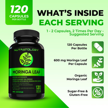 Nutratology® Organic Moringa Leaf Capsules | 1200MG Per Serving | Canadian-Made | Provides Powerful Antioxidants - Protects Against Cell Damage, Supports Liver Detox & Gut Health - 120 Caps 🍁 All In One Marketplace Canada