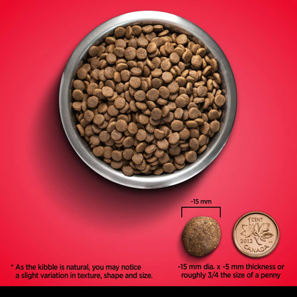 Zoe Grain Free Dog Food, All Breeds, Beef with Peas & Pumpkin, 5 kg 🍁 All In One Marketplace Canada