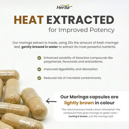 Herba 10,000MG Organic Moringa Capsules – 180 Count | Ultra Potent - 20:1 Extract | Made in Canada | Pure Moringa Capsules using Organic Moringa Powder 🍁 All In One Marketplace Canada