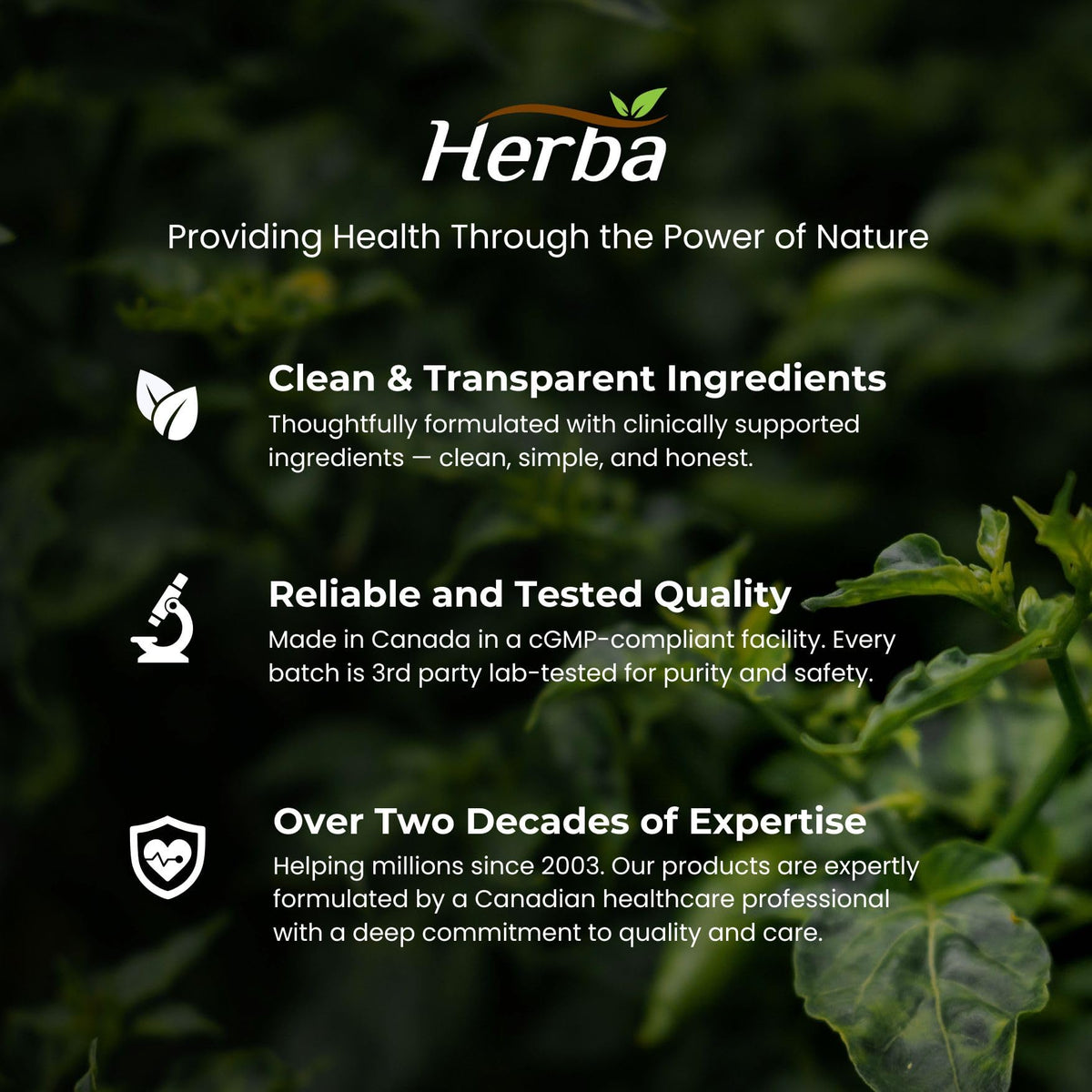 Herba Ceylon Cinnamon Capsules 4000mg - 180 Vegetable Capsules | Powerful 20:1 Extract from Sri Lanka | Equivalent to 4,000mg Dry Ceylon Cinnamon Powder | Made in Canada 🍁 All In One Marketplace Canada