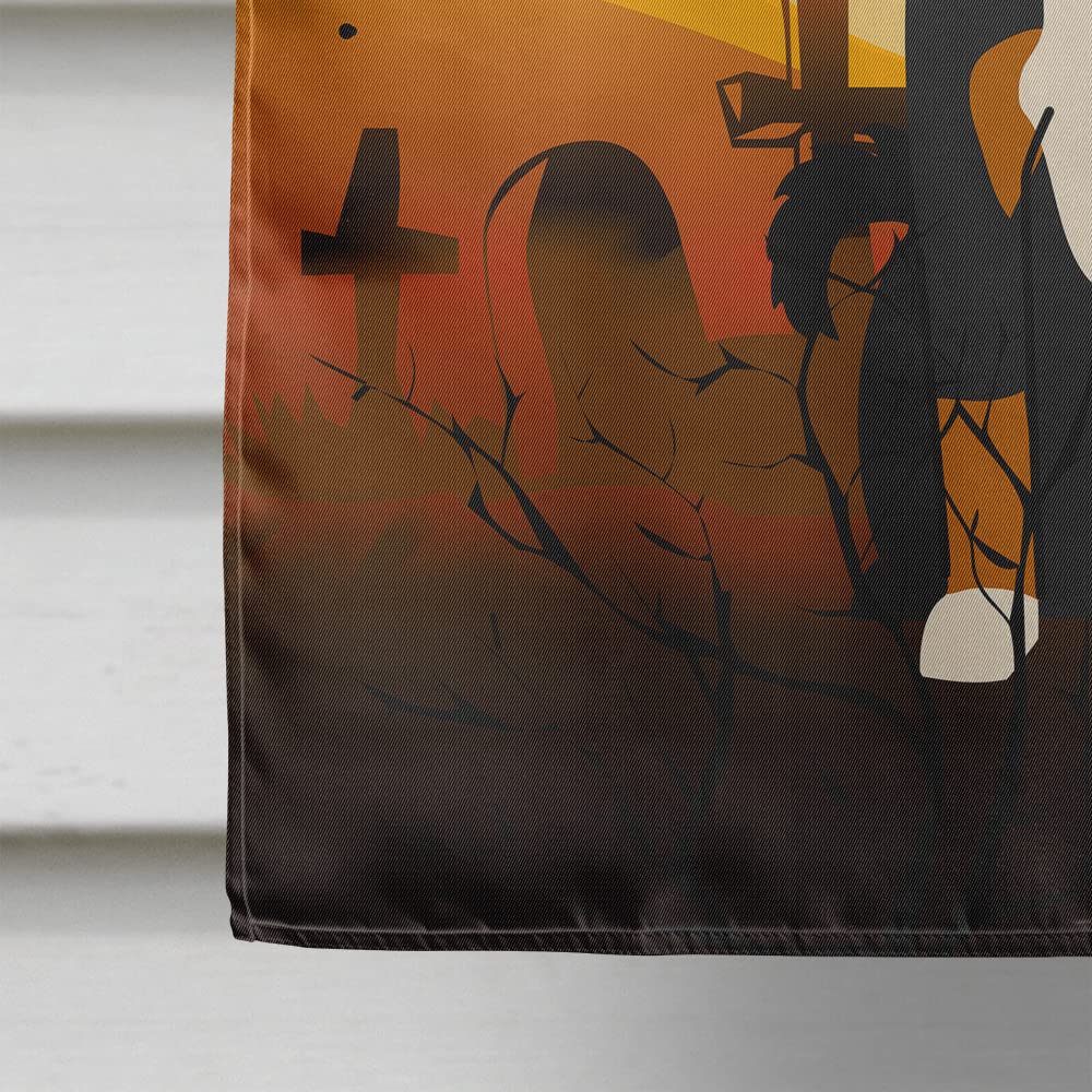 Caroline's Treasures BB4309CHF Halloween Appenzeller Sennenhund Flag Canvas House Size, Large, Multicolor