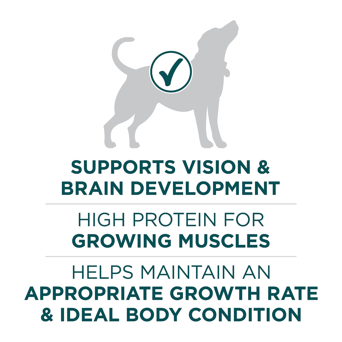 Purina ONE +Plus Large Breed Dry Puppy Food with Chicken - 14 kg Bag 🍁 All In One Marketplace Canada