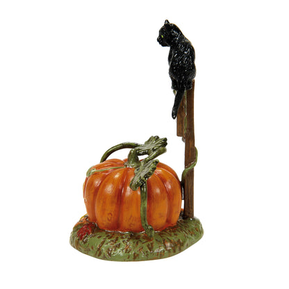 Department 56 Village Collection Accessories Halloween Feline Noir 2024 Dated Limited Edition Figurine, 3.74 Inch, Multicolor