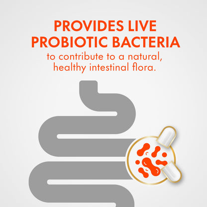 Align Probiotic Digestive Support, IBS Symptom Relief: Gas, Abdominal Discomfort, Bloating, Helps Healthy Intestinal Flora for Women & Men, 42 Capsules 🍁 All In One Marketplace Canada