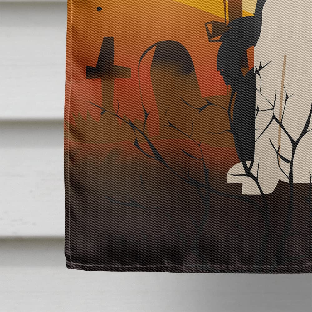 Caroline's Treasures BB4295CHF Halloween Russo-European Laika Spitz Canvas House Size Flag, Large, Multicolor