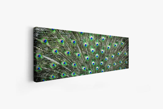 Große Leinwand Wandkunst – Pfauenfedern – Naturkunstwerk
