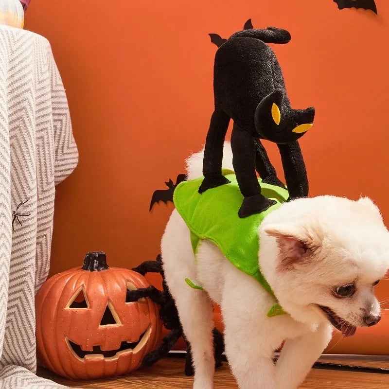 A Scaredy Cat Dog Halloween Costume