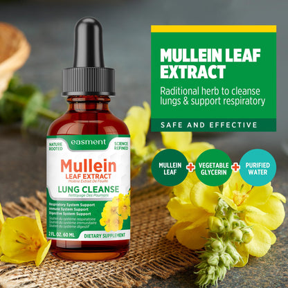 Easment Mullein Leaf Extract Drops for Lungs – Herbal Supplement for Lung Cleanse, Mucus & Phlegm Relief – Alcohol-Free Liquid 🍁 All In One Marketplace Canada
