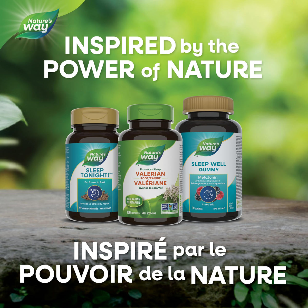 Nature's Way Valerian Root, Sleep Aid to Help Promote Sleep, Value Size, 180 Vegetarian Capsules 🍁 All In One Marketplace Canada