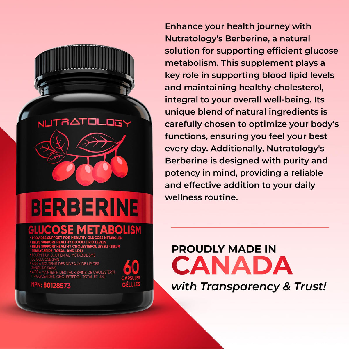 Nutratology® Berberine Supplement | Canadian-Made | Max Potency 500MG Per Capsule - Supports Glucose Metabolism & Healthy Blood Sugar Levels Through Efficient Metabolism Of Sugar & Fats - 60 Capsules 🍁 All In One Marketplace Canada