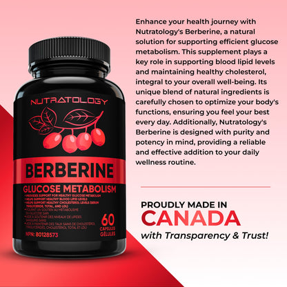 Nutratology® Berberine Supplement | Canadian-Made | Max Potency 500MG Per Capsule - Supports Glucose Metabolism & Healthy Blood Sugar Levels Through Efficient Metabolism Of Sugar & Fats - 60 Capsules 🍁 All In One Marketplace Canada