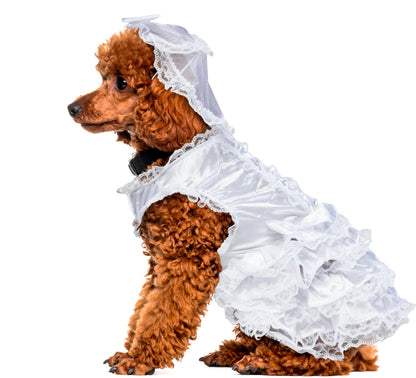 Rubies Costume Co Halloween Classics Collection Pet Costume, X-Large, Bride