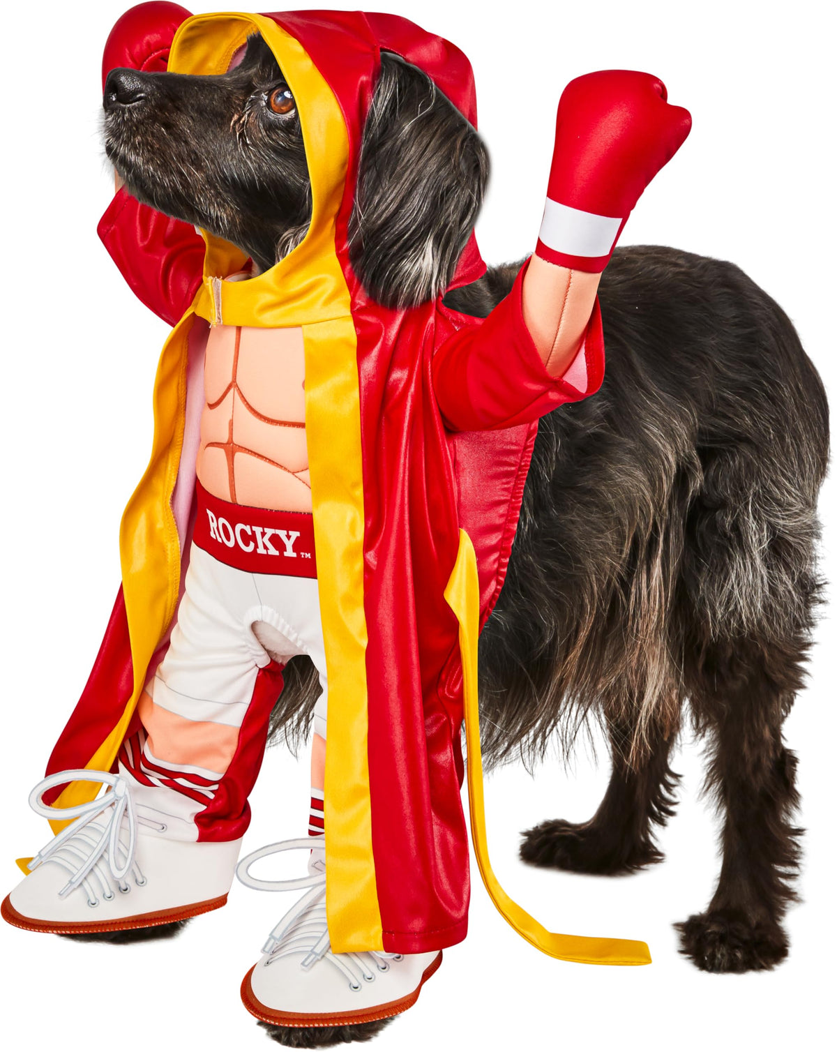 Rubies Rocky Pet Costume for Themed Parties and Halloween, As Shown, Large, As Shown, Large