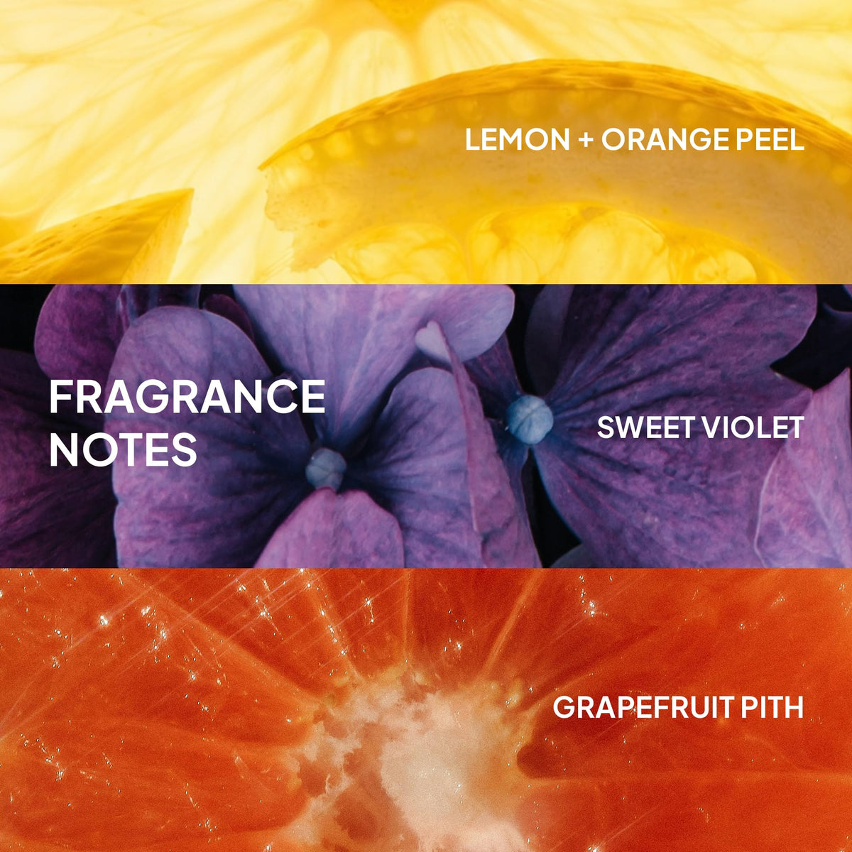 VERB Ghost Fine Hair Shampoo, 12 fl oz | Weightless Smoothing Cleanser 🍁 All In One Marketplace Canada