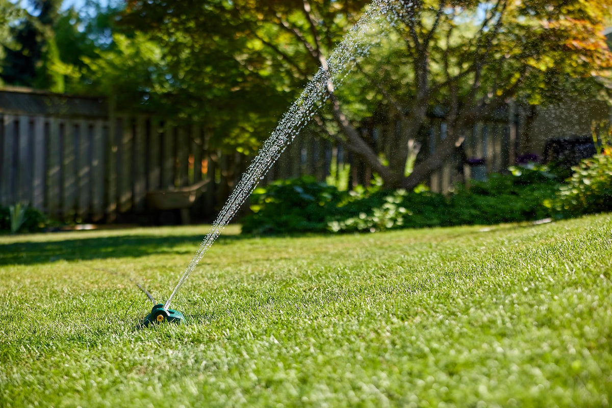 Scotts Turf Builder Grass Seed All Purpose Mix, 1Kg (246 sq Meters / (2,648 sq feet Coverage) | Sun & Shade Formula for a Thick, Green Lawn 🍁 All In One Marketplace Canada