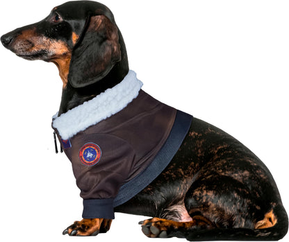 Rubies Top Gun Classic Movie Pet Costume, X-Large for Themed Parties and Halloween